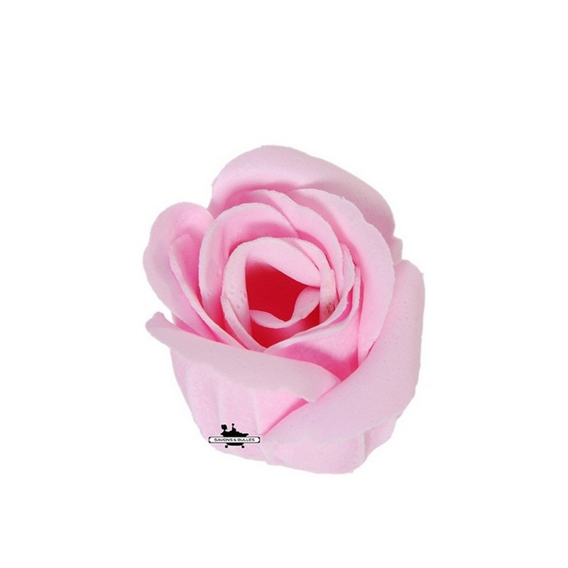 Rose pour le Bain
