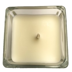 Bougie Végétale Myrtilles