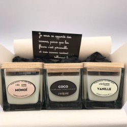 Trio de Bougie Végétale