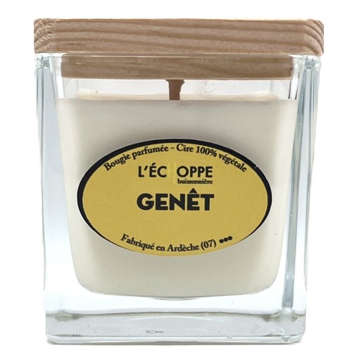 Bougie Genêt