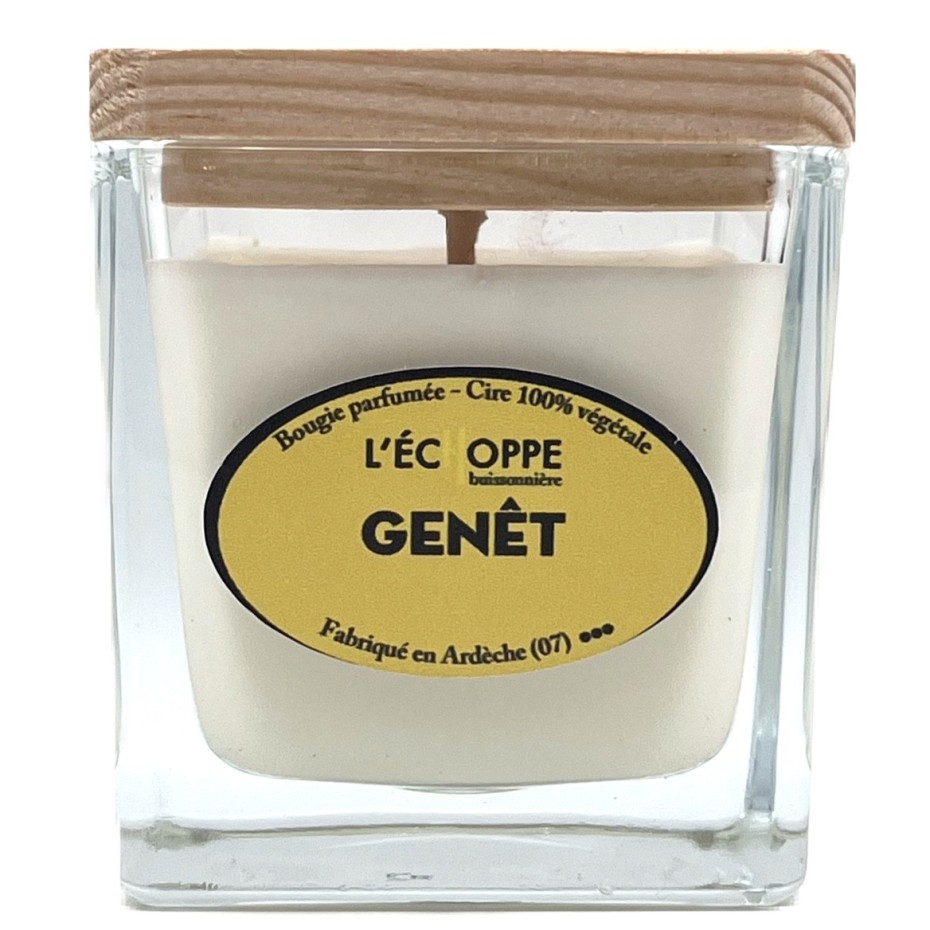 Bougie Genêt