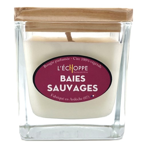 Bougie baies sauvages